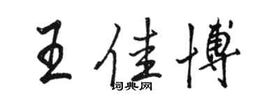 駱恆光王佳博行書個性簽名怎么寫
