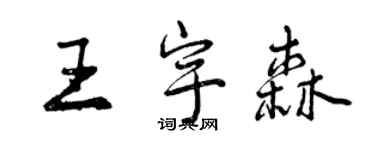 曾慶福王宇森行書個性簽名怎么寫