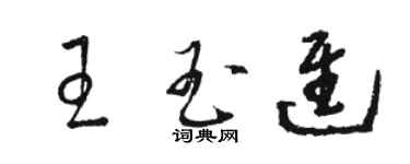 駱恆光王玉進草書個性簽名怎么寫