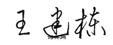 駱恆光王建棟草書個性簽名怎么寫
