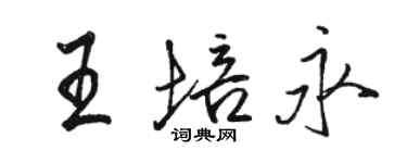 駱恆光王培永行書個性簽名怎么寫