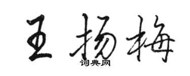 駱恆光王揚梅行書個性簽名怎么寫