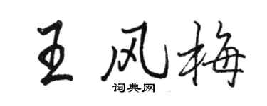 駱恆光王風梅行書個性簽名怎么寫