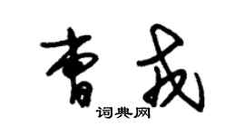 朱錫榮曹戎草書個性簽名怎么寫