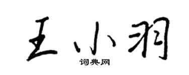 王正良王小羽行書個性簽名怎么寫