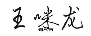 駱恆光王咪龍行書個性簽名怎么寫