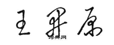 駱恆光王開原草書個性簽名怎么寫