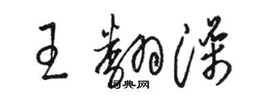 駱恆光王翻澡草書個性簽名怎么寫