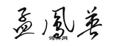 駱恆光孟鳳英草書個性簽名怎么寫