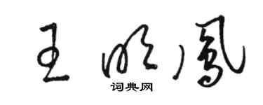 駱恆光王明鳳草書個性簽名怎么寫