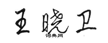 駱恆光王曉衛行書個性簽名怎么寫