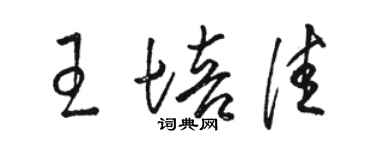 駱恆光王培佳草書個性簽名怎么寫