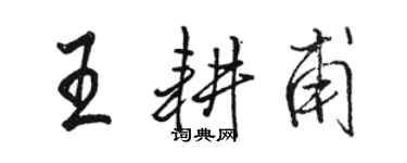 駱恆光王耕甫行書個性簽名怎么寫