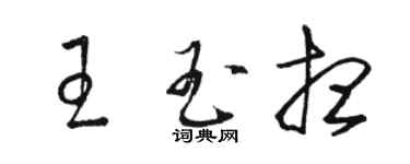 駱恆光王玉想草書個性簽名怎么寫