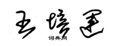 朱錫榮王培運草書個性簽名怎么寫
