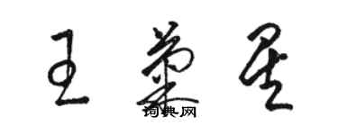 駱恆光王菊星草書個性簽名怎么寫