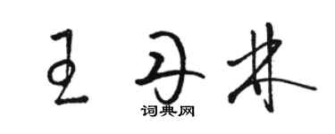 駱恆光王丹林草書個性簽名怎么寫