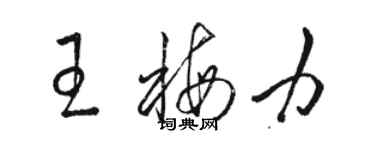 駱恆光王梅力草書個性簽名怎么寫