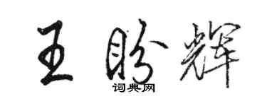駱恆光王盼輝行書個性簽名怎么寫