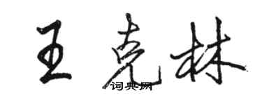 駱恆光王克林行書個性簽名怎么寫