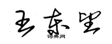 朱錫榮王東望草書個性簽名怎么寫