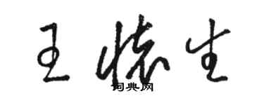 駱恆光王懷生草書個性簽名怎么寫