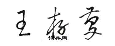 駱恆光王存慶草書個性簽名怎么寫