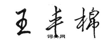 駱恆光王豐棉行書個性簽名怎么寫