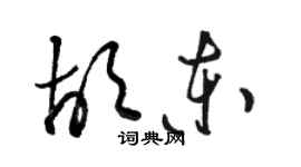 駱恆光胡東草書個性簽名怎么寫