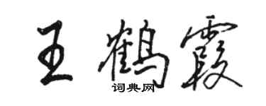 駱恆光王鶴霞行書個性簽名怎么寫