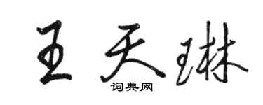 駱恆光王天琳行書個性簽名怎么寫