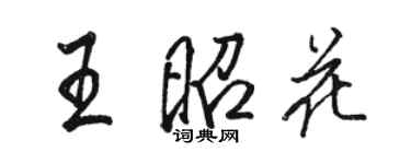 駱恆光王昭花行書個性簽名怎么寫