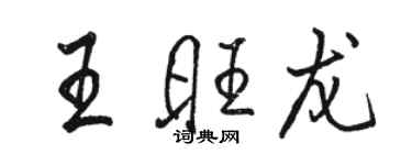 駱恆光王旺龍行書個性簽名怎么寫