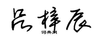 朱錫榮呂梓辰草書個性簽名怎么寫