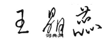 駱恆光王晶蕊草書個性簽名怎么寫