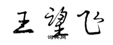 曾慶福王望飛行書個性簽名怎么寫