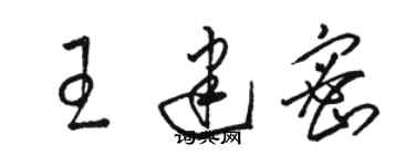 駱恆光王建密草書個性簽名怎么寫