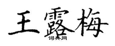 丁謙王露梅楷書個性簽名怎么寫