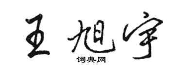 駱恆光王旭宇行書個性簽名怎么寫