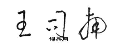 駱恆光王司南草書個性簽名怎么寫