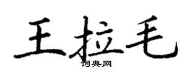 丁謙王拉毛楷書個性簽名怎么寫
