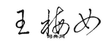 駱恆光王梅女草書個性簽名怎么寫