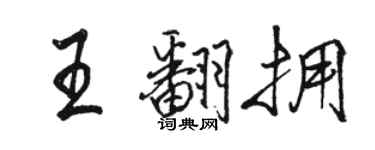 駱恆光王翻擁行書個性簽名怎么寫