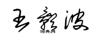 朱錫榮王影波草書個性簽名怎么寫