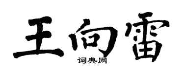 翁闓運王向雷楷書個性簽名怎么寫