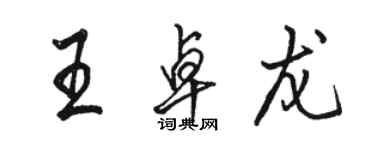 駱恆光王卓龍行書個性簽名怎么寫