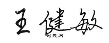 駱恆光王健敏行書個性簽名怎么寫