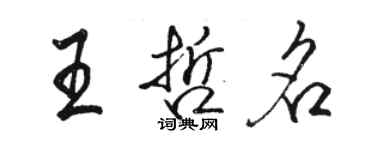 駱恆光王哲名行書個性簽名怎么寫