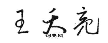 駱恆光王夭亮草書個性簽名怎么寫