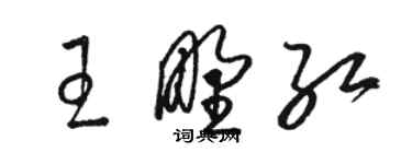 駱恆光王野紅草書個性簽名怎么寫